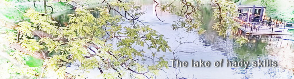 The lake of handy skills